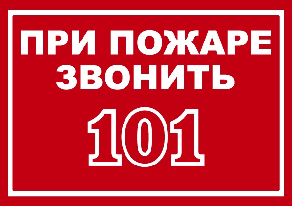 101.jpg